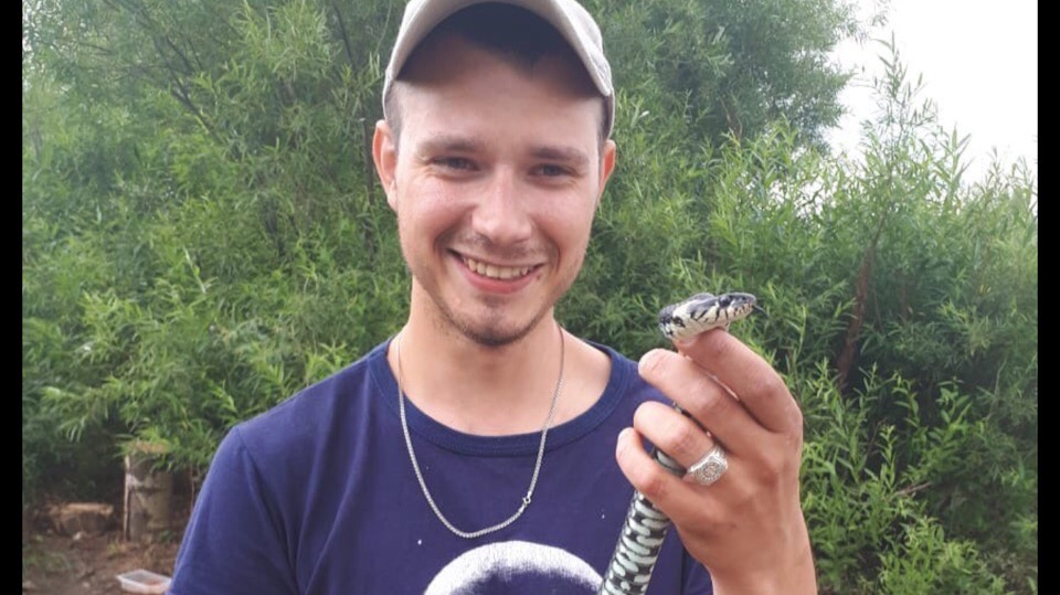 "Бегом от них": ярославцы рассказали о нашествии змей на дачные участки