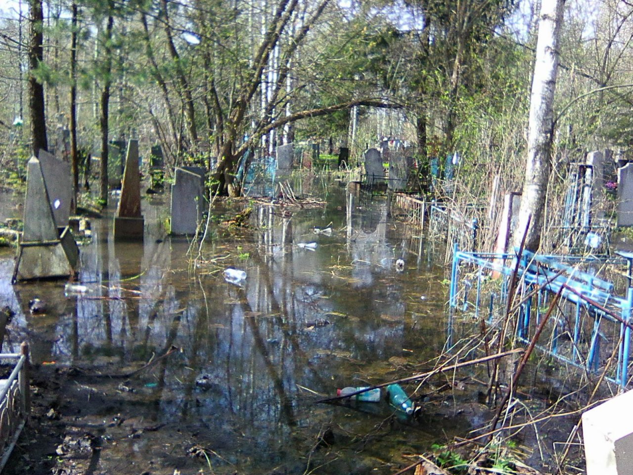 Тело в болото или плати: похоронщиков обвинили в обмане ярославцев