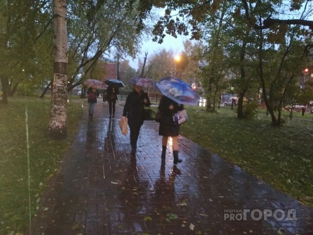 Сентябрь пришел: о сильном похолодании в Ярославле сообщили синоптики