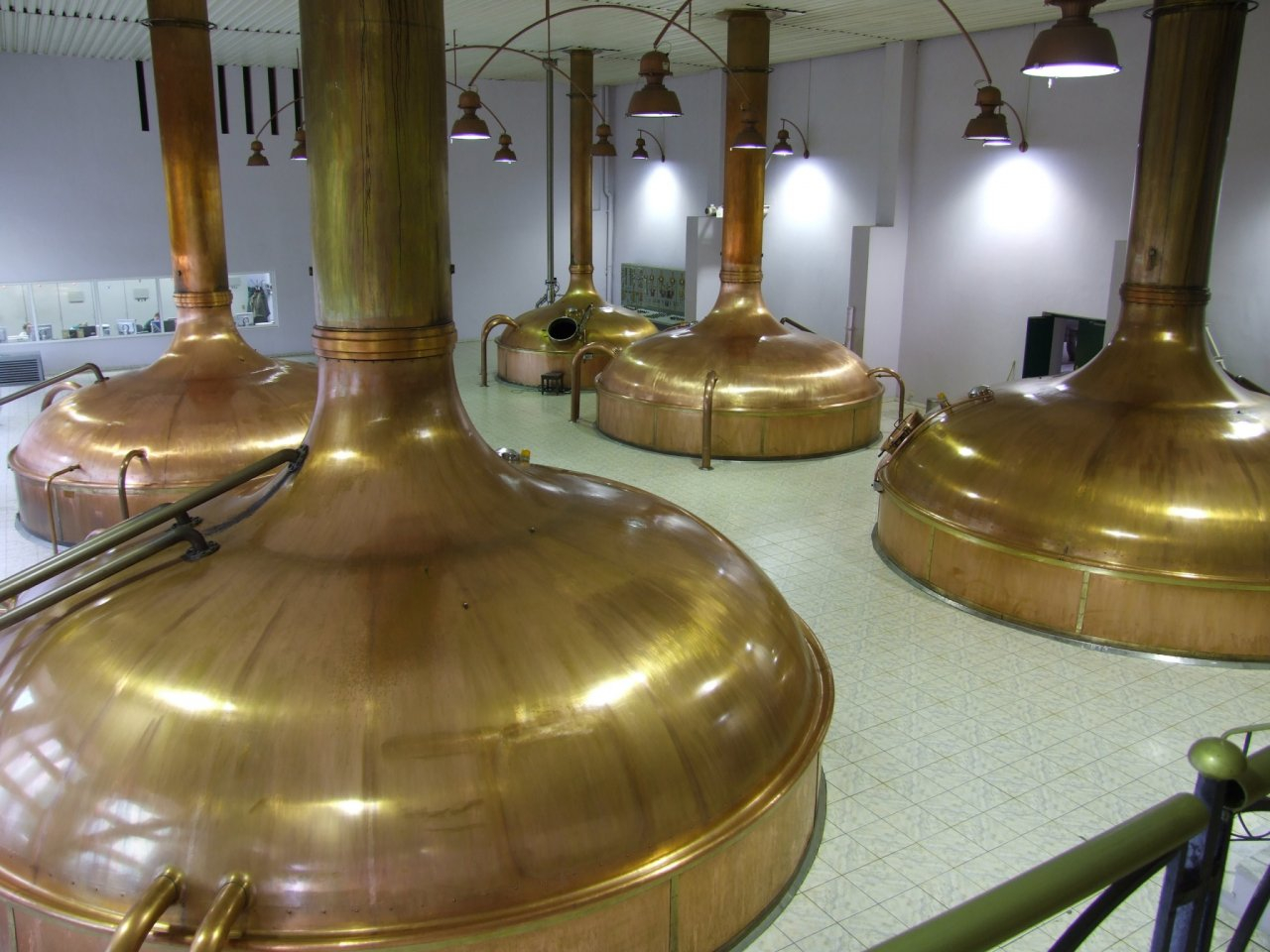 В Ярославской области проходит региональный этап Всероссийского конкурса «Лучший пивовар»
