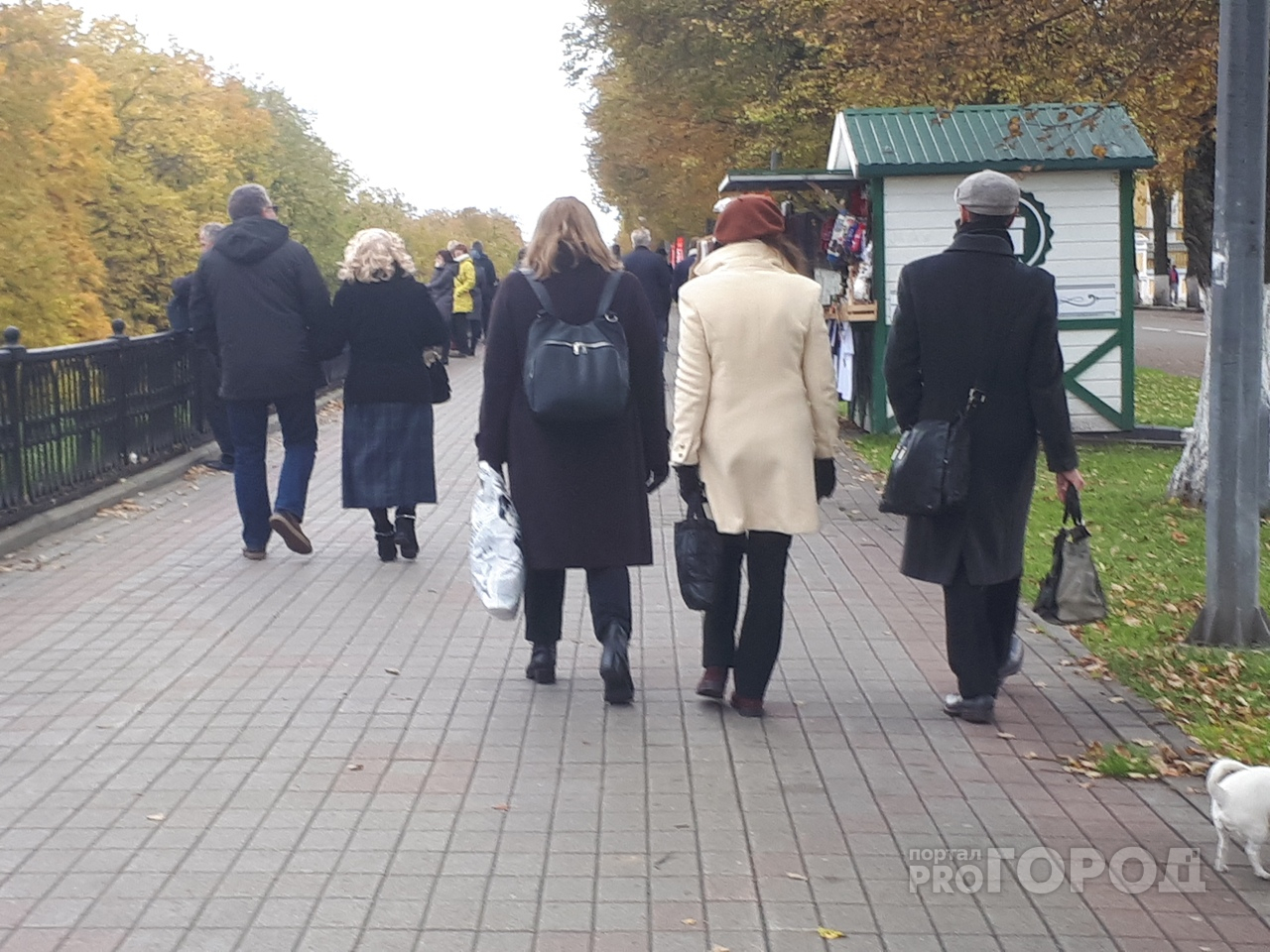 Синоптики: преждевременная осень идет на Ярославль
