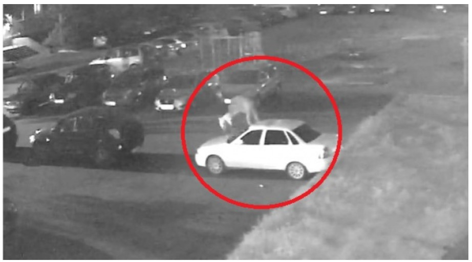 Скакал по машинам и выбивал стекла: под Ярославлем поймали автовандала