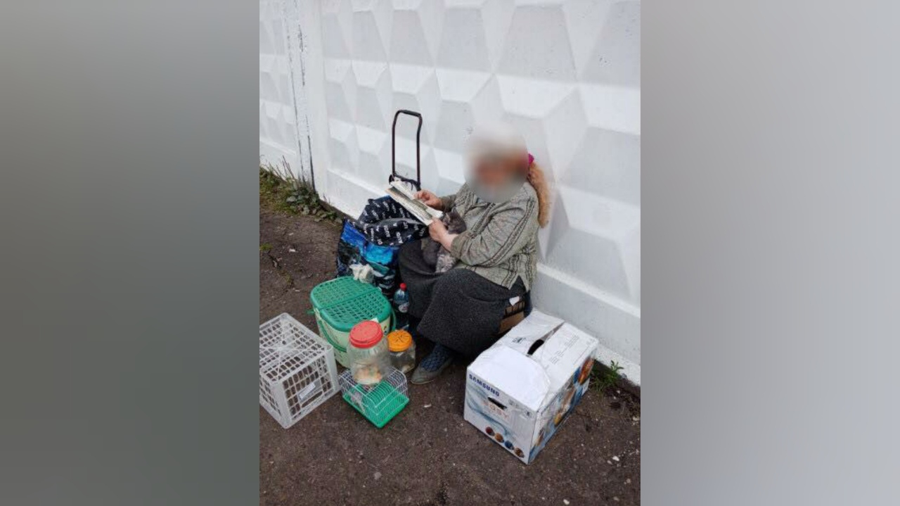 Бизнес на детях: в Ярославле отняли малышей у "коробочницы"