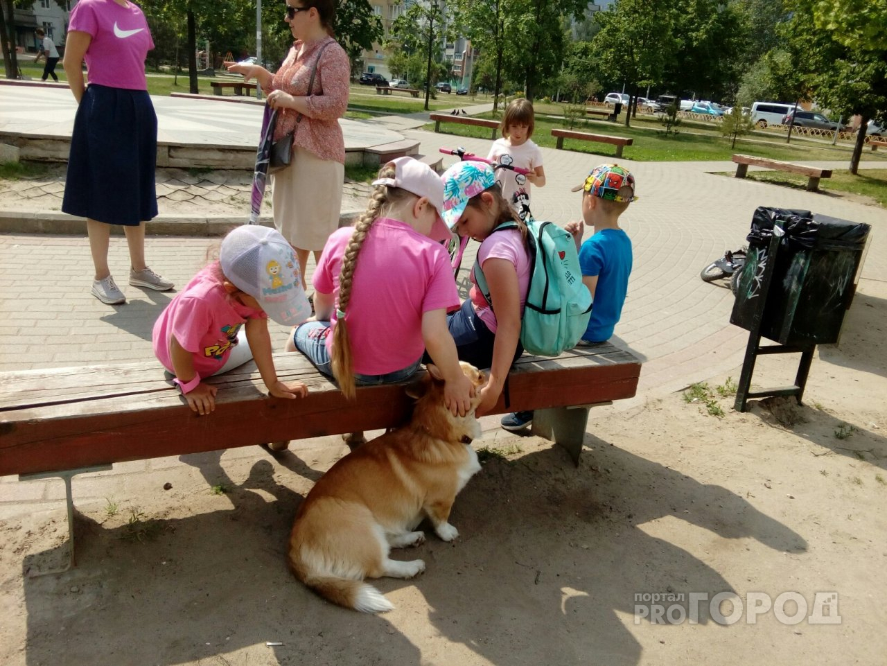 Комары беснуются: на редкость теплый сентябрь пообещали синоптики