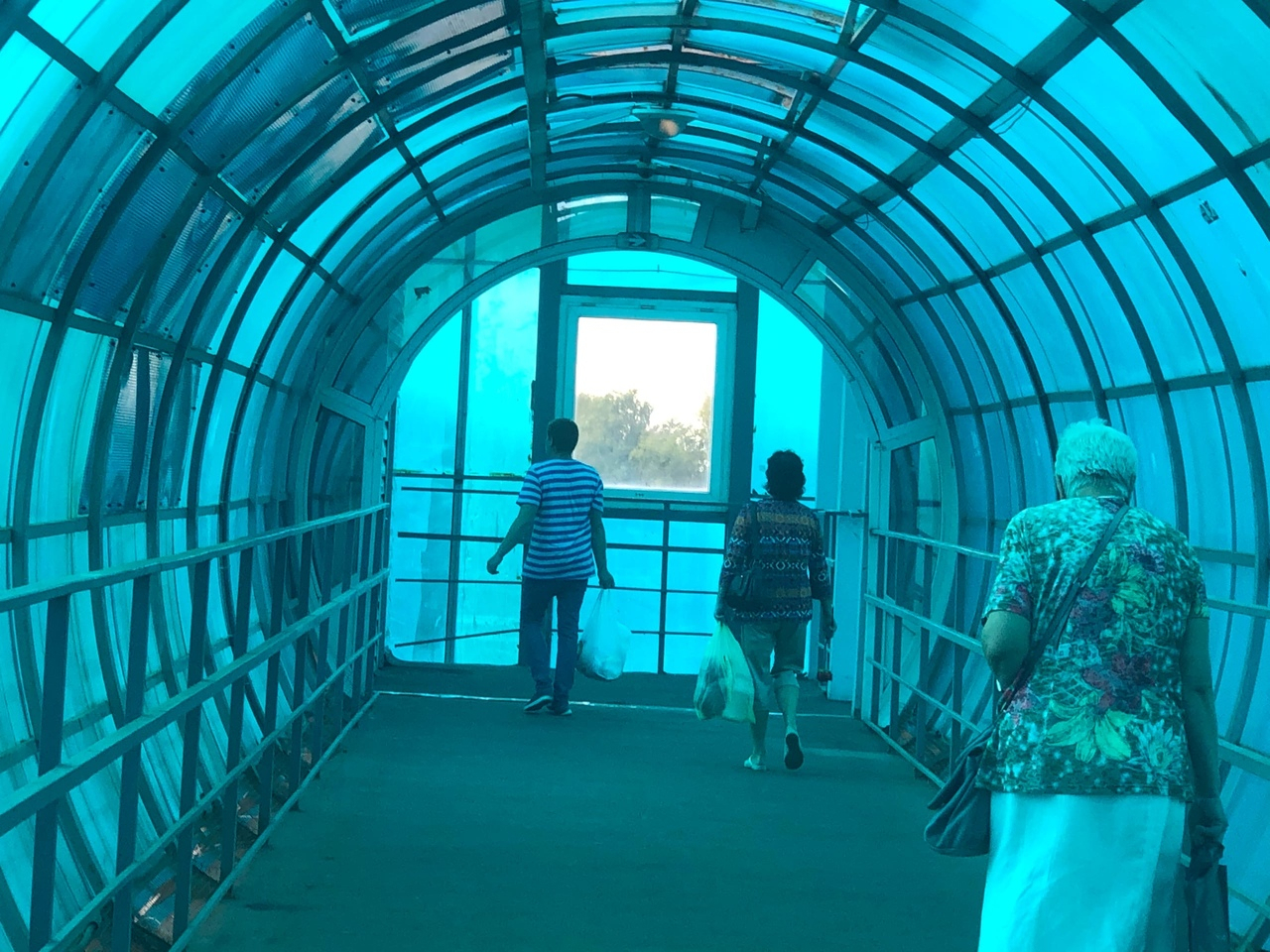 Лето будет еще долго: синоптики обнадежили ярославцев