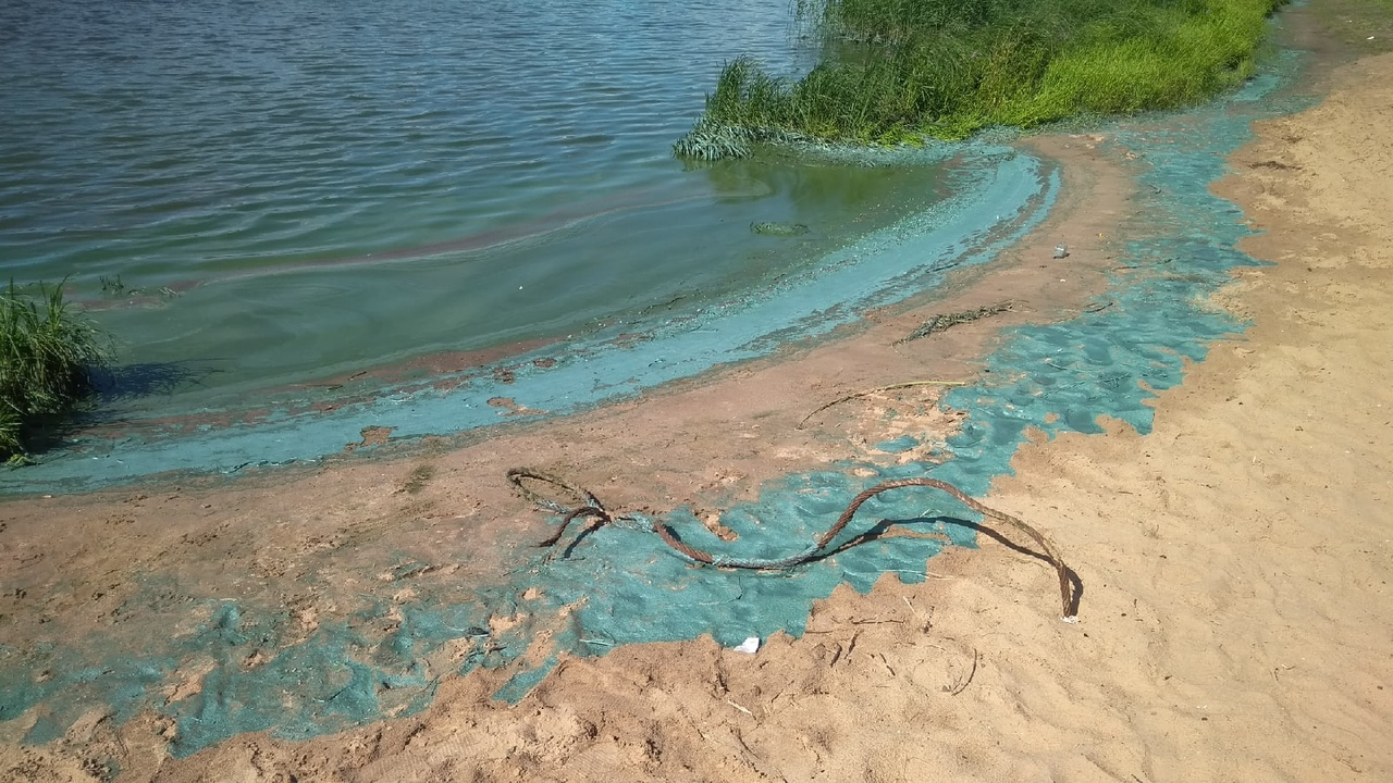 Почему реки в Ярославле стали синими, объяснили власти
