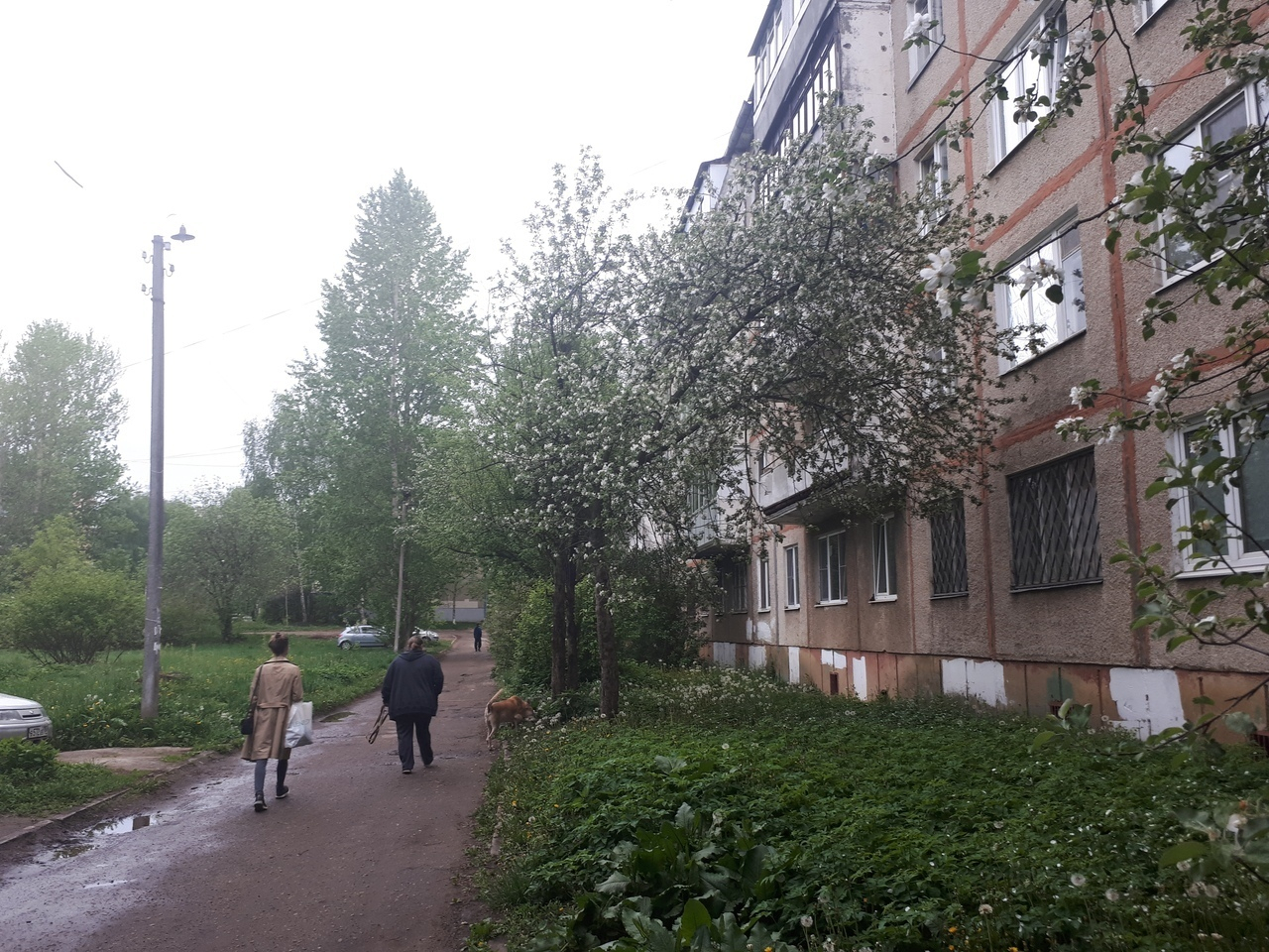 "Прождали целый день": как в Ярославле проверяют квартиры после взрыва