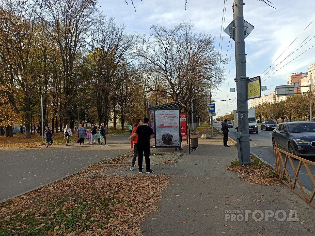 Пыльные бури и заморозки: синоптики напугали погодой россиян