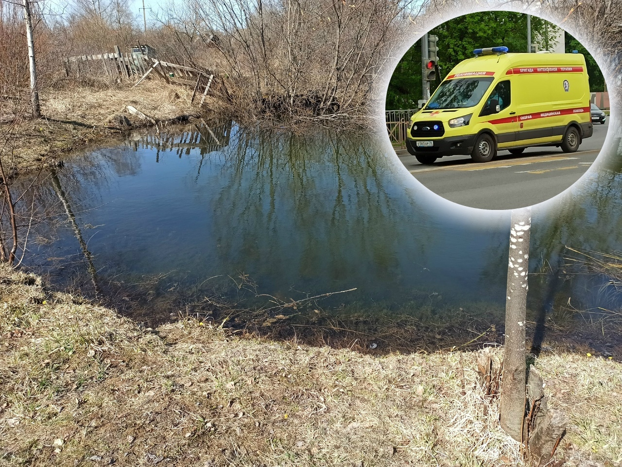 Два трупа нашли в машине в пруду под Ярославлем: подробности