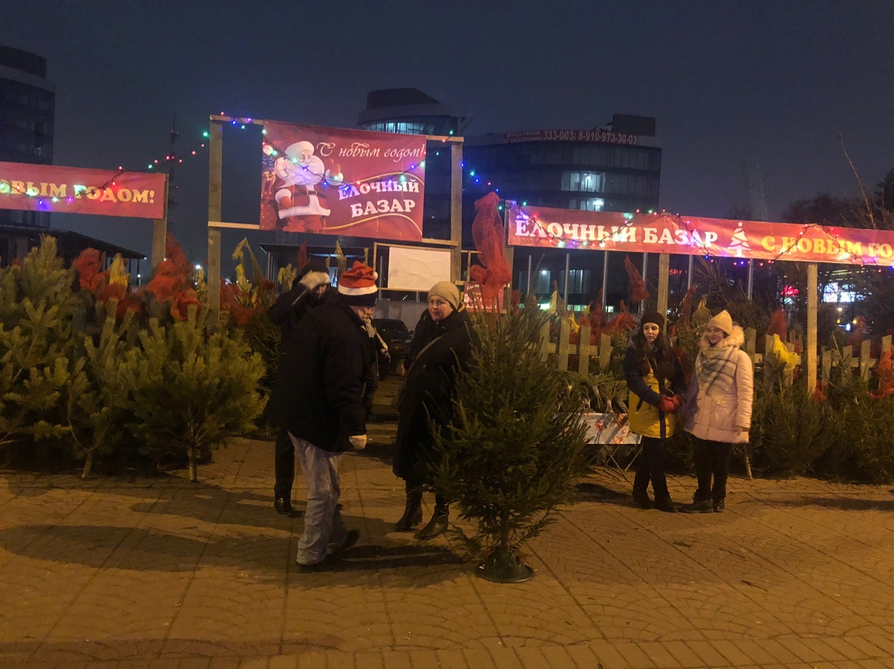 Сотни тысяч на елки: за сколько украсят Ярославль к новому году
