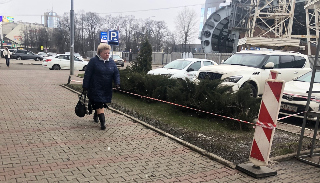Зарядит на неделю: когда выпадет настоящий снег в Ярославле