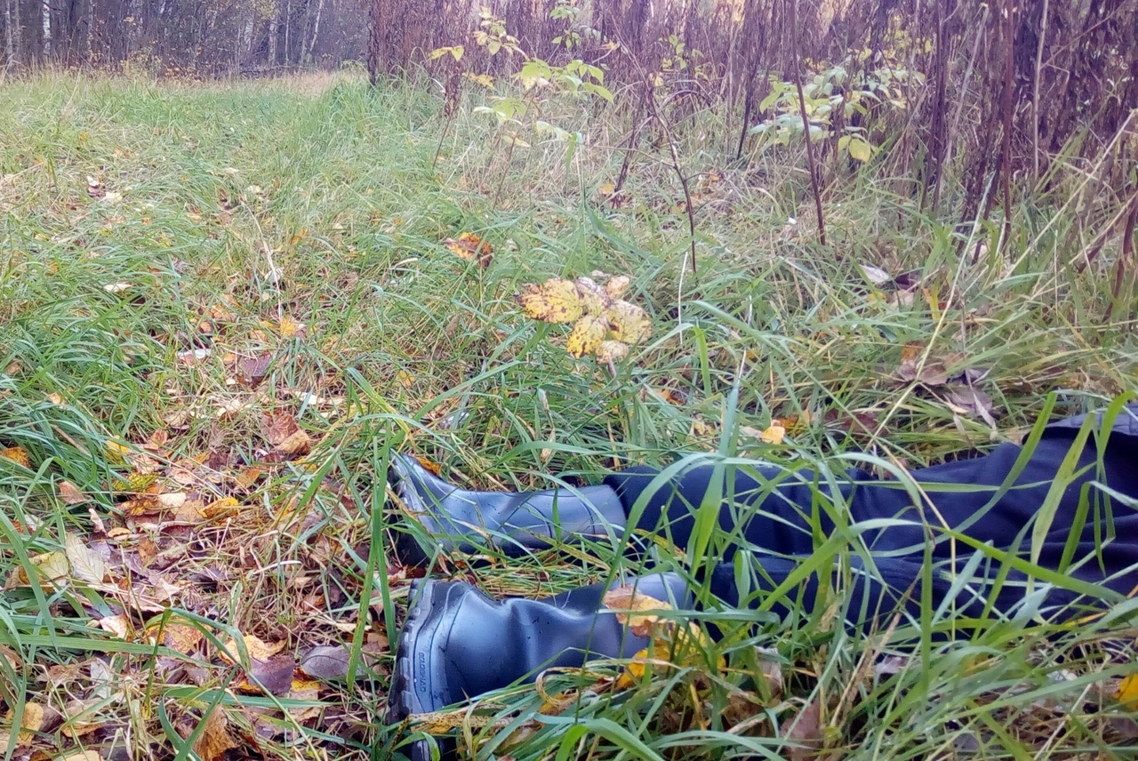 Подстрелил вместо кабана: в Ярославле расследуют смерть охотника