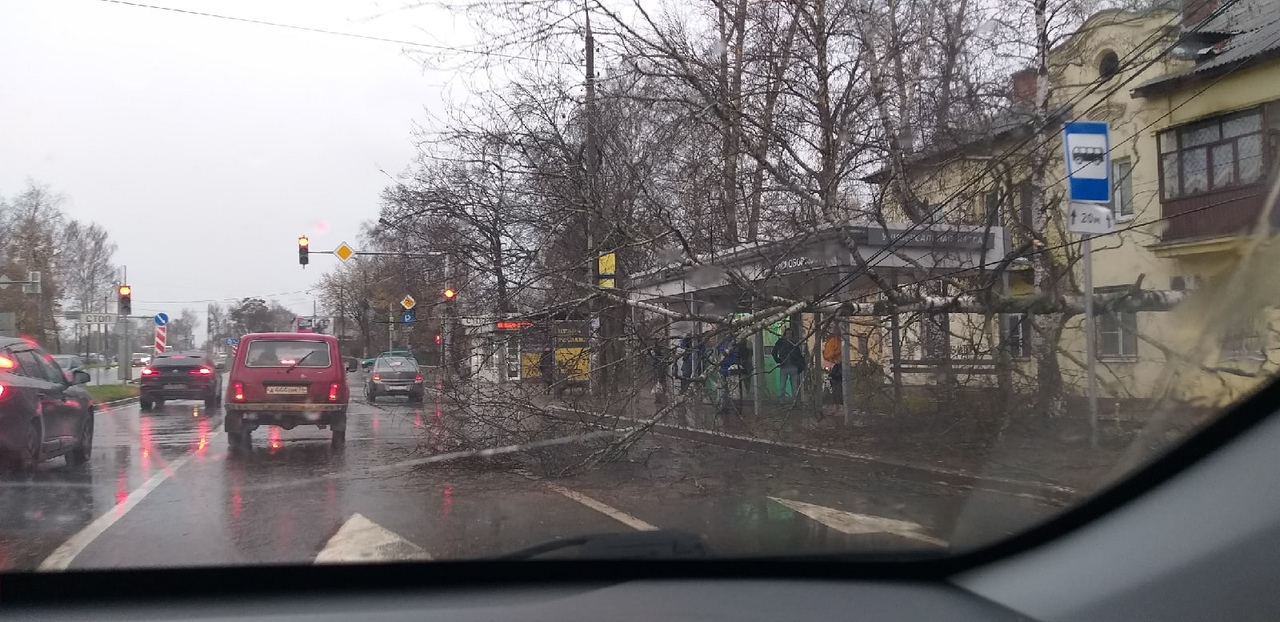 дерево упало Ярославль