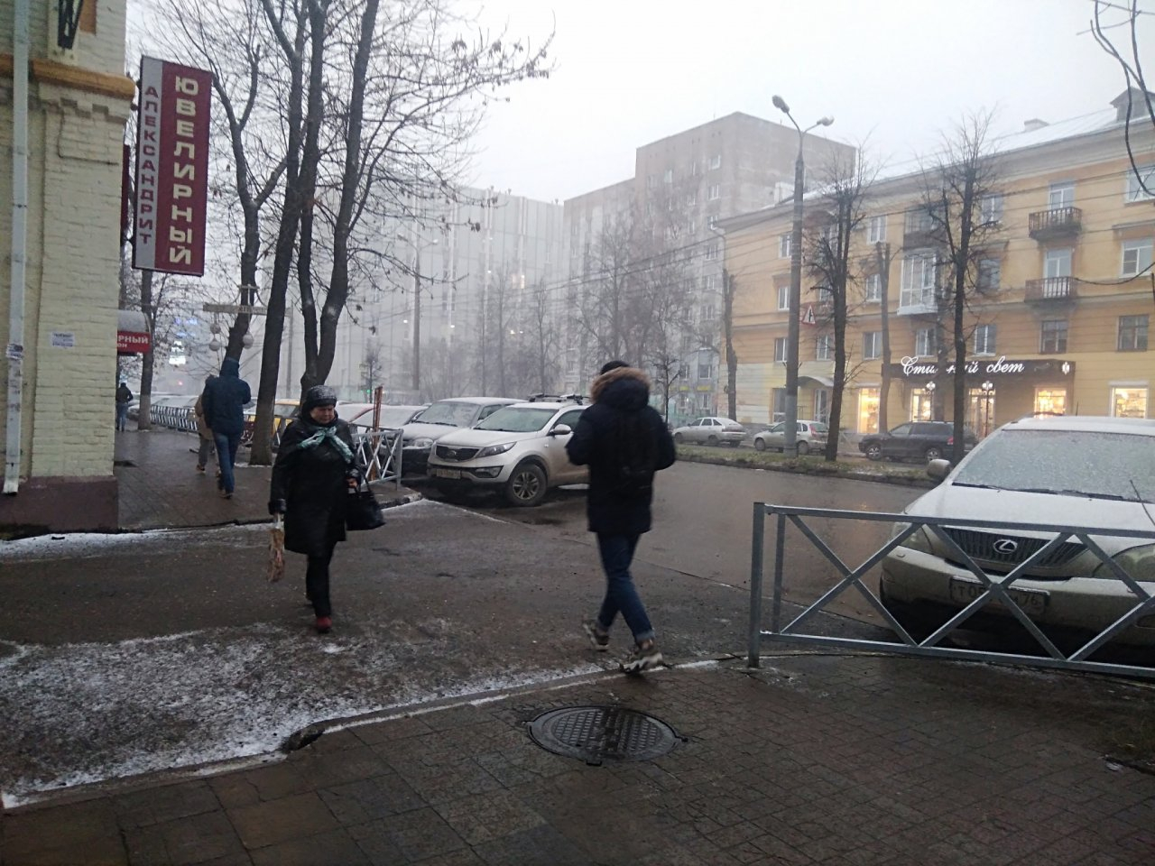Метели, мокрый снег и ветер в Ярославле обещают синоптики