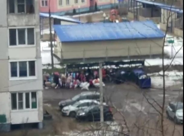 "Едят прямо с помоек": толпы ярославцев штурмуют мусорки. Видео