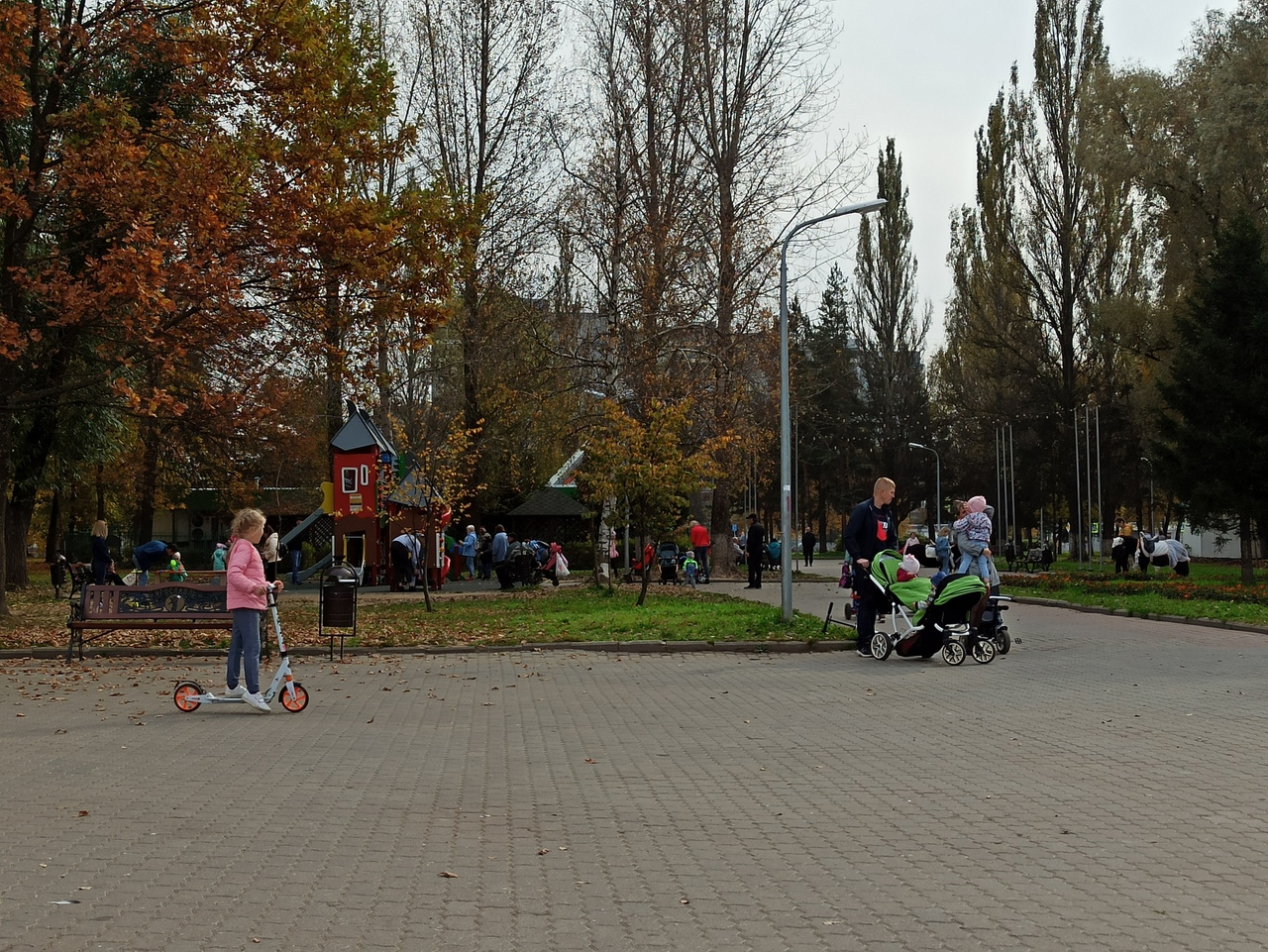 Магазины вместо парков: главный архитектор Ярославля предлагает уменьшить зоны отдыха