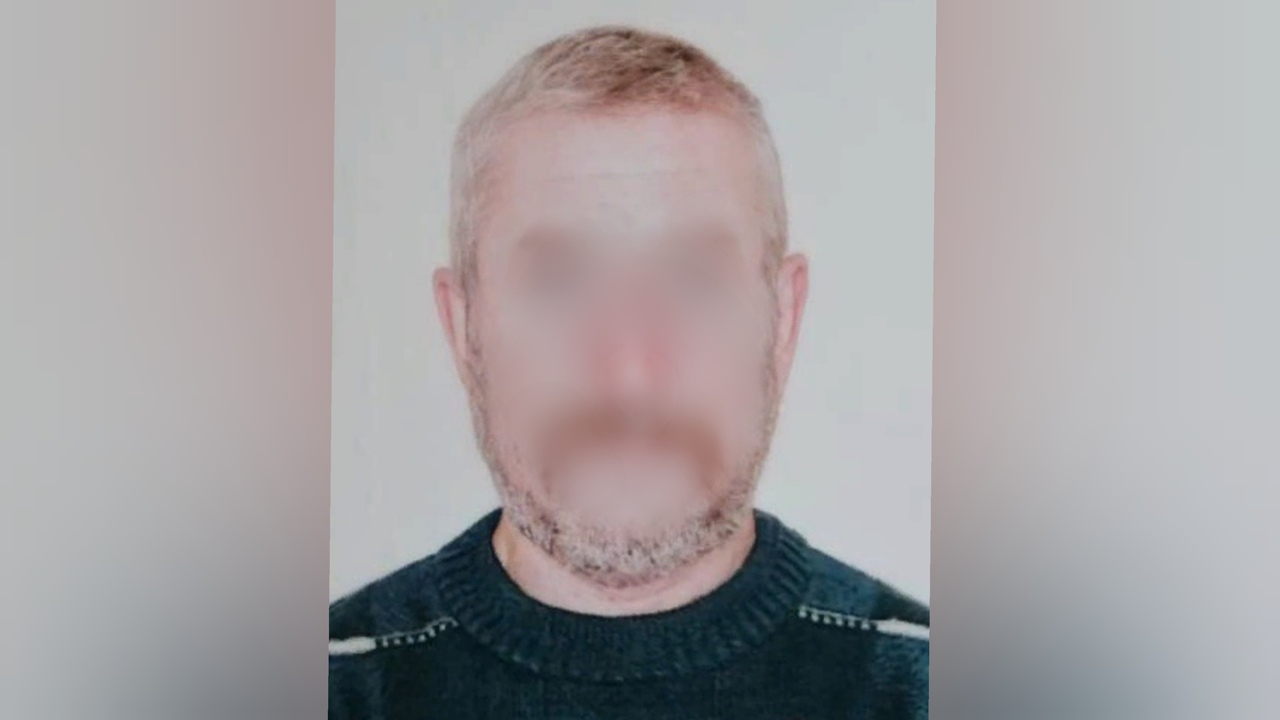 Труп увидели в лесу: тело пропавшего мужчины нашли под Ярославлем