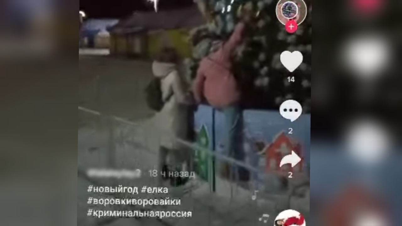 Покаялись: ограбившие главную елку ради ролика в тик-токе пришли к заммэра