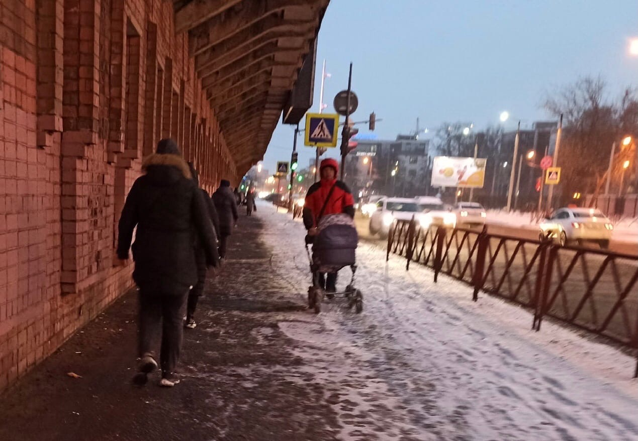 Ярославским детсадовцам дарят деньги на Новый год: как получить