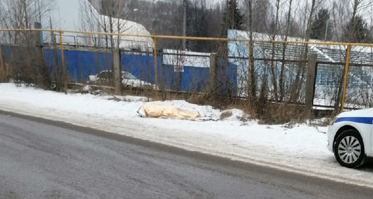 Это не ДТП: в Ярославле у дороги нашли труп мужчины