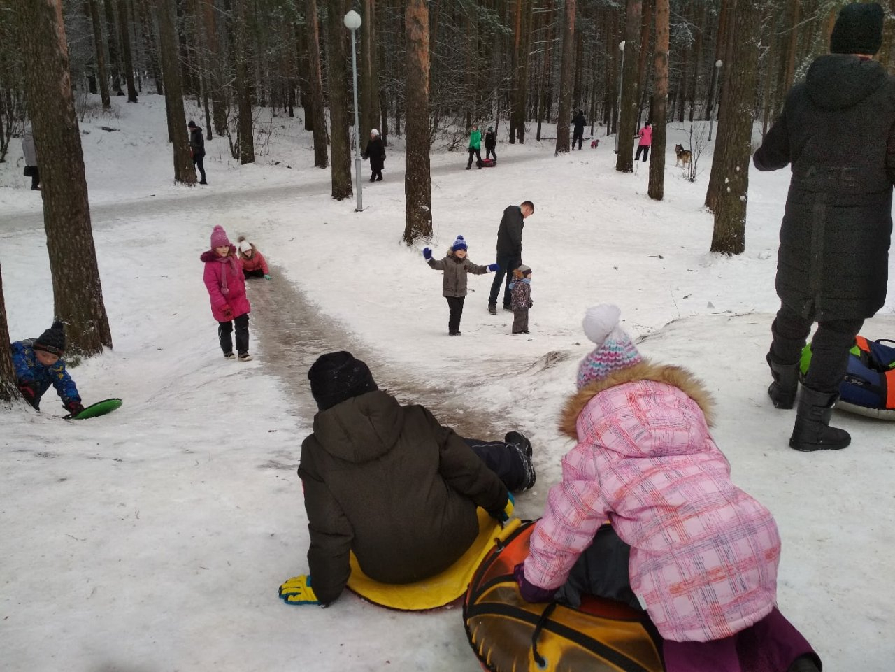 После ЧП с детьми в Ярославле закрыли снежные горки