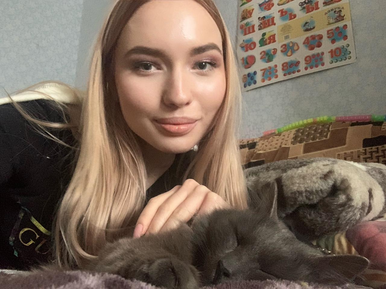 "Прибился к банде": как нашли кота, пропавшего полгода назад в аэропорту Ярославля