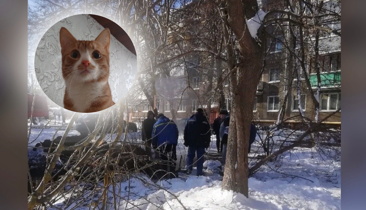 "Даже кот в соплях": после аварии в Ростове Великом в квартирах температура достигает девяти градусов
