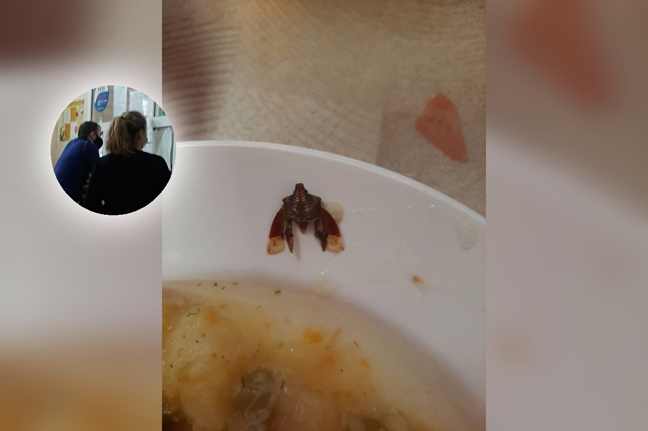 "Они были в ужасе": в ярославской больнице пациентам на обед принесли странное насекомое