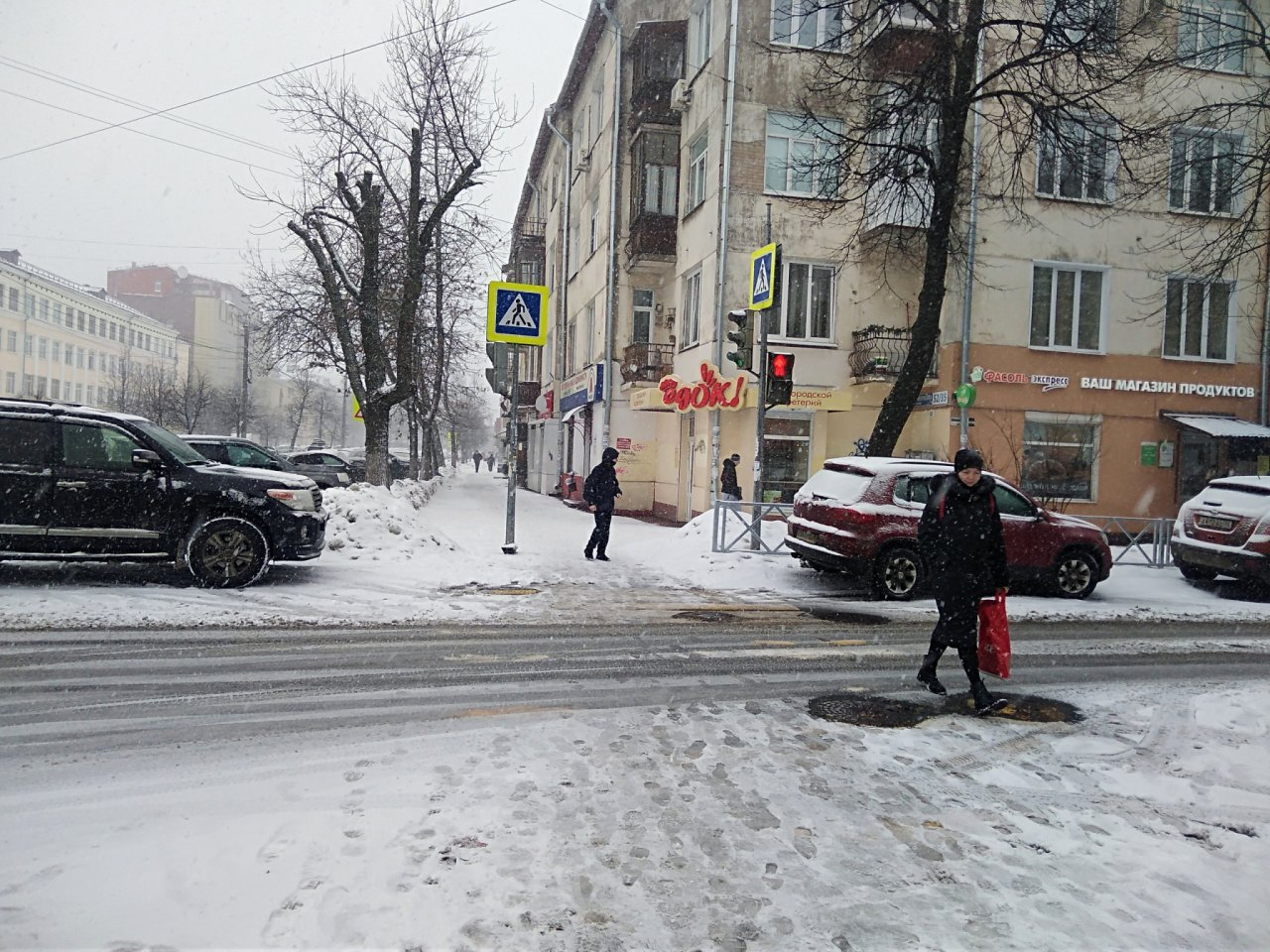МЧС предупредили ярославцев о метели и сильном снегопаде: когда ожидать