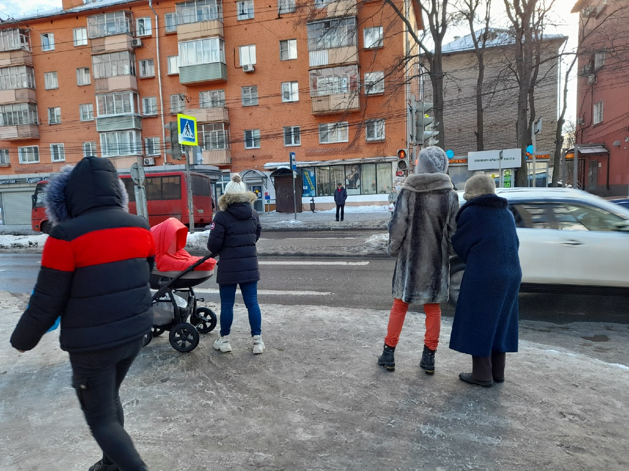 «Это была моя мечта»: ярославец  выкрал у незнакомца домашнего питомца