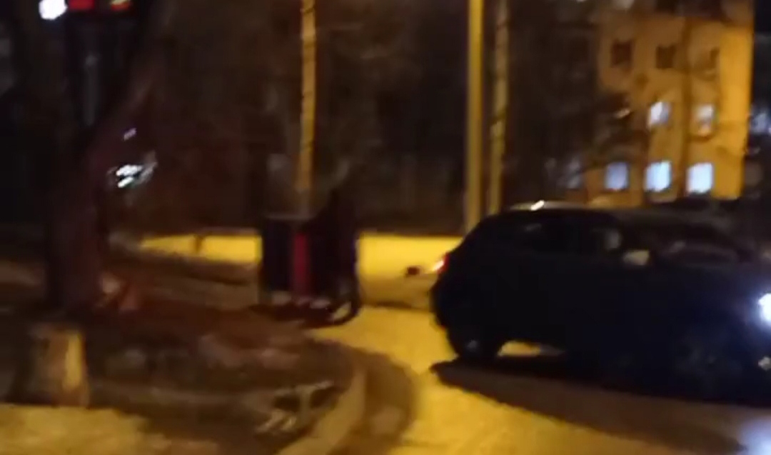 "Мужик бак мусорный спер":  ярославцы обсуждают странное видео в сети