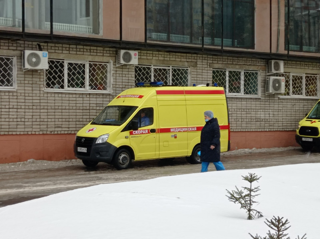 Умирала в муках: в Ярославле нашли обезображенный труп женщины