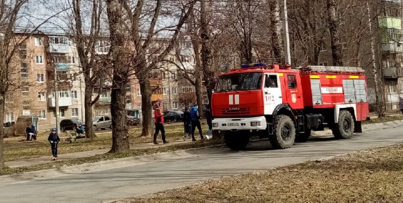 За день в Ярославской области сгорело 263 гектара: причины
