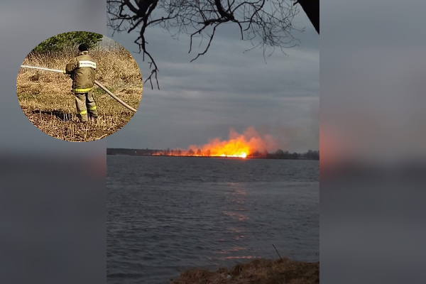 Снова горят леса: в Ярославле поджоги не заканчиваются