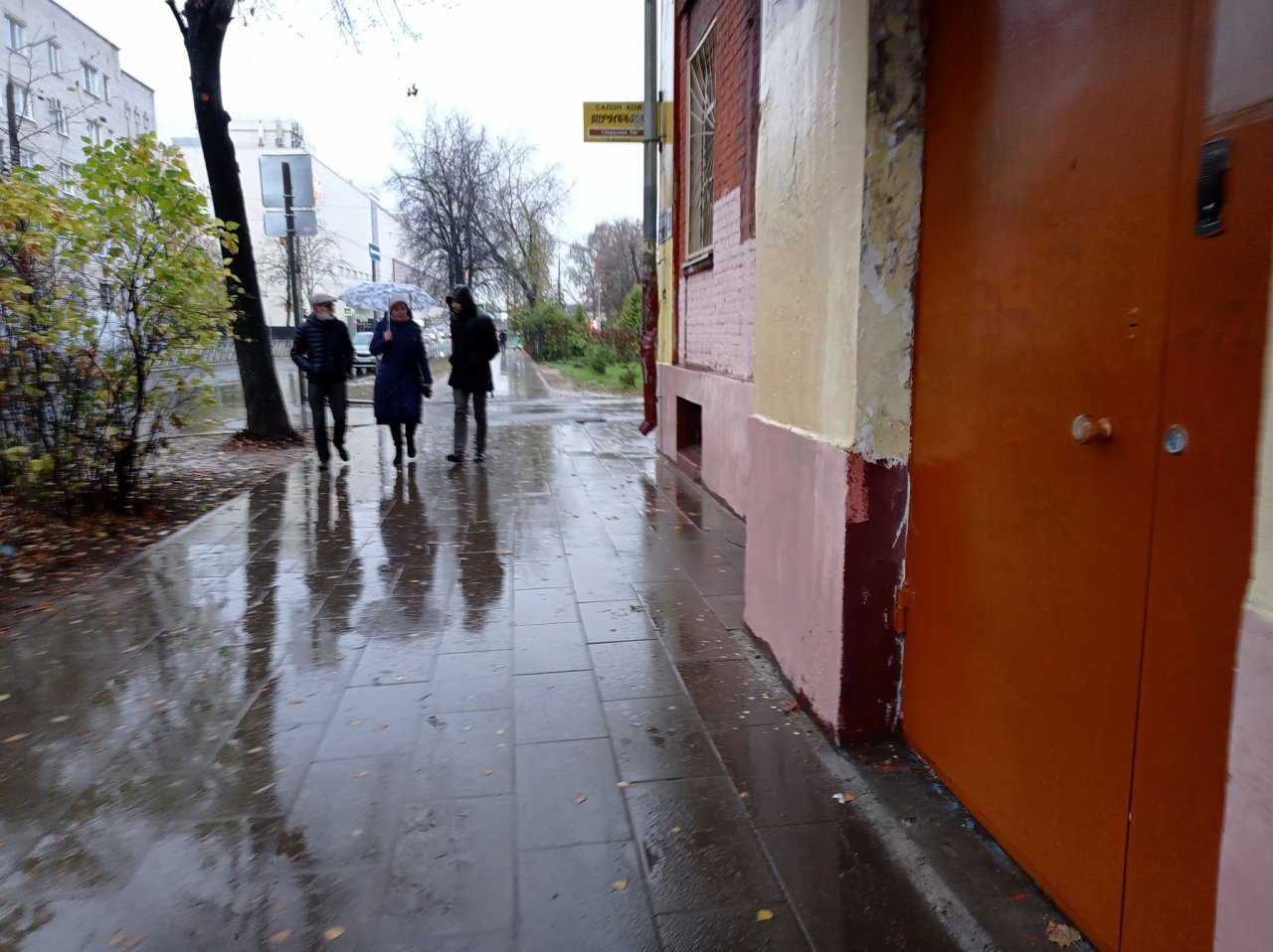 Будет лить ежедневно: синоптики рассказали о погоде в Ярославле