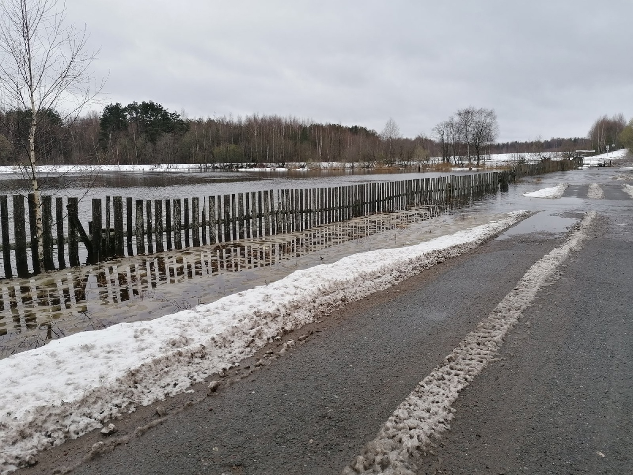 Река вышла из берегов: МЧС предупредило ярославцев о потопе