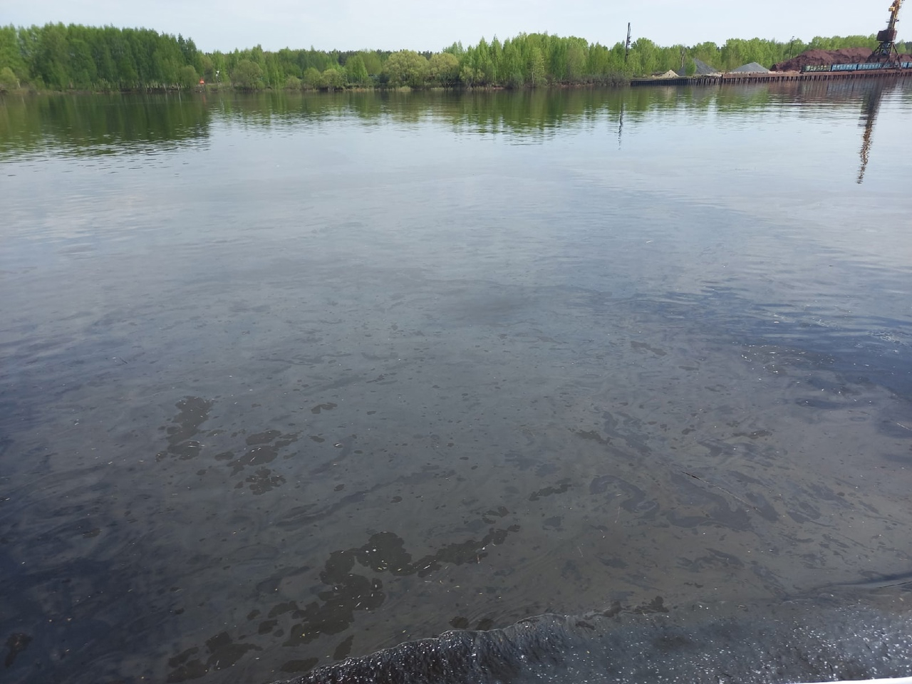 Сплошная нефтяная пленка: ярославцы в ужасе от состояния воды в Волге