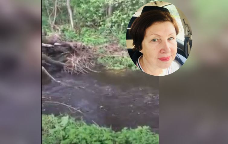 Коричневые воды: в Ярославле вода рядом с полигоном Скоково снова стала грязной