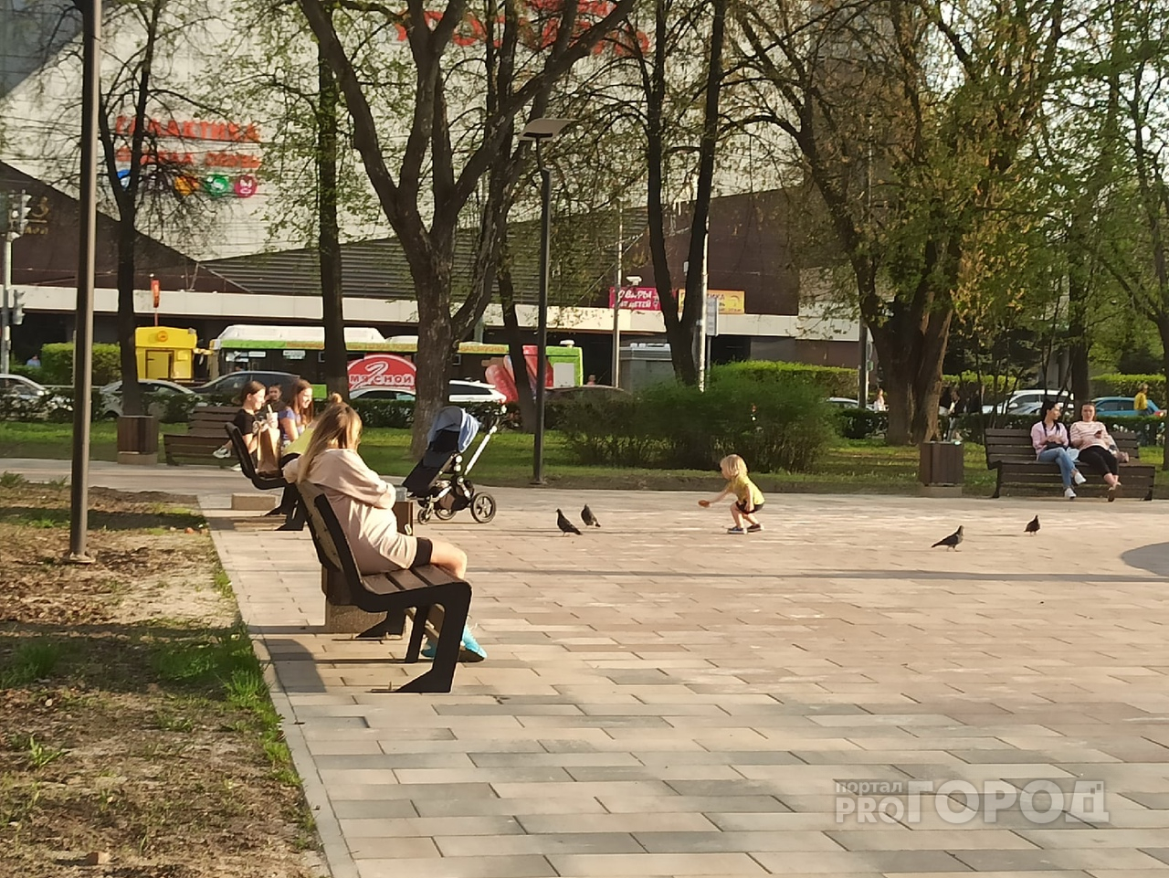 В Ярославле срывают сроки ремонта дворов и парков