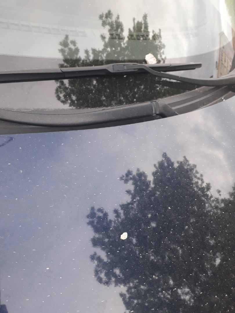 "Ура, каникулы": у ярославских школьников новый вид досуга