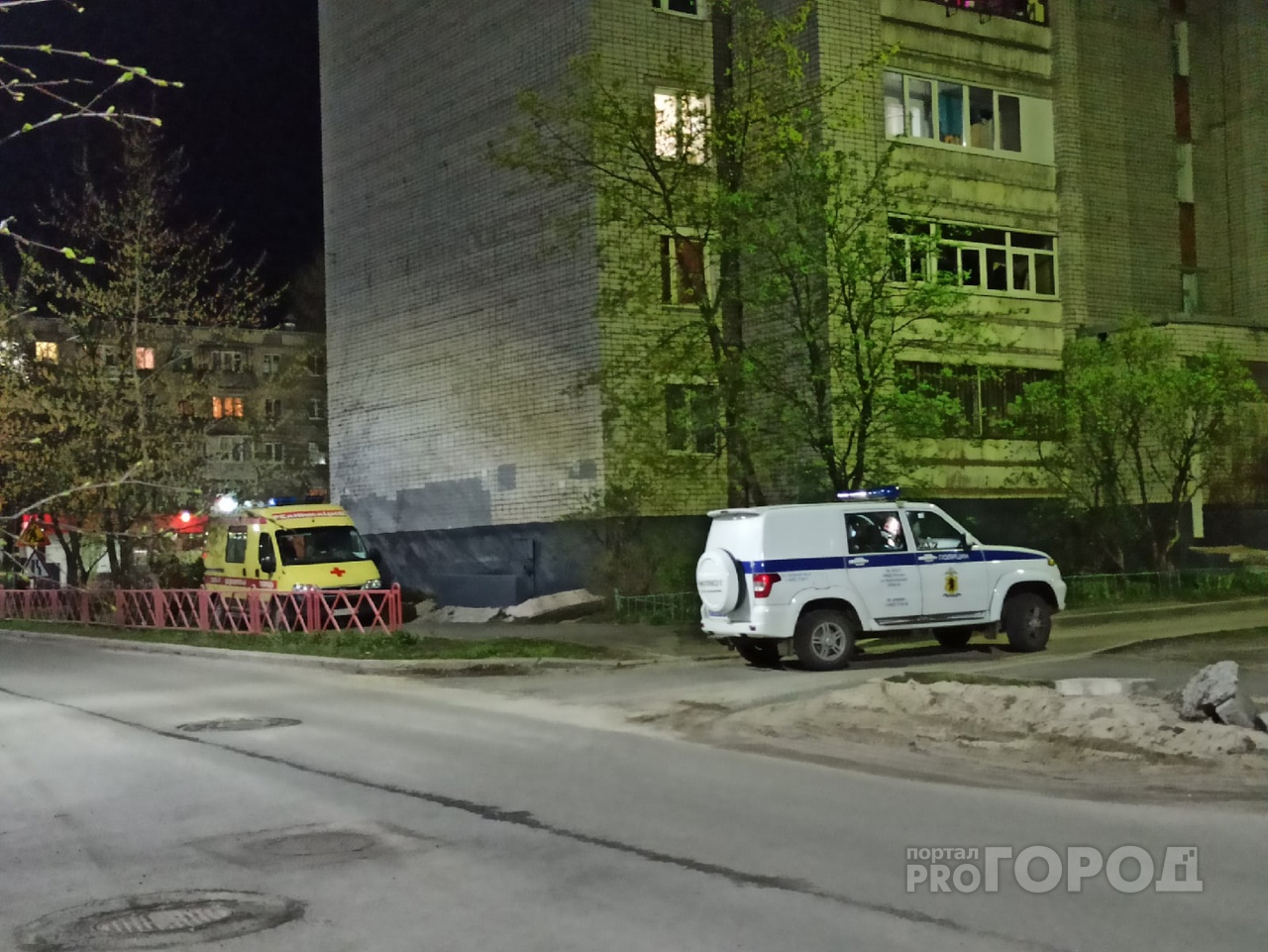 Мама не могла сопротивляться: подробности зверского убийства в Ярославле