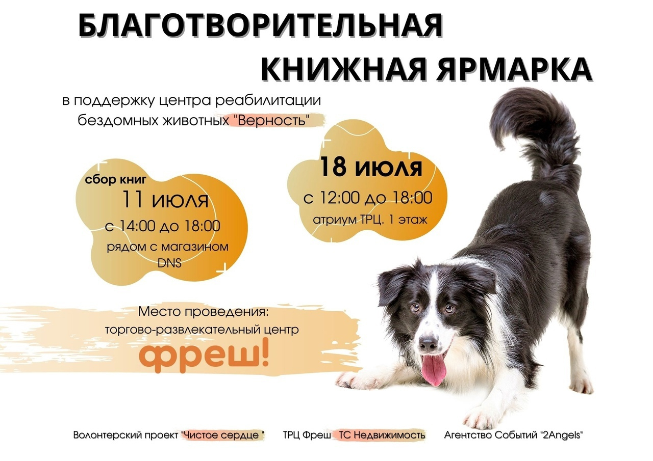 В Ярославле пройдет книжная ярмарка в поддержку животных