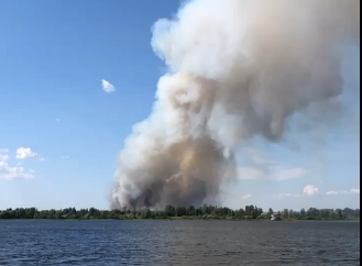 Столб дыма поднимался над лесами: подробности пожара под Ярославлем