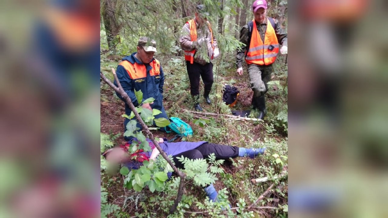 Нашли в лесу малыша. Бабушка потерялась в лесу. Женщина выживает в лесу. Дети которые выжили после крушения в лесах Колумбии. Бабушка потерялась в лесу Серове.