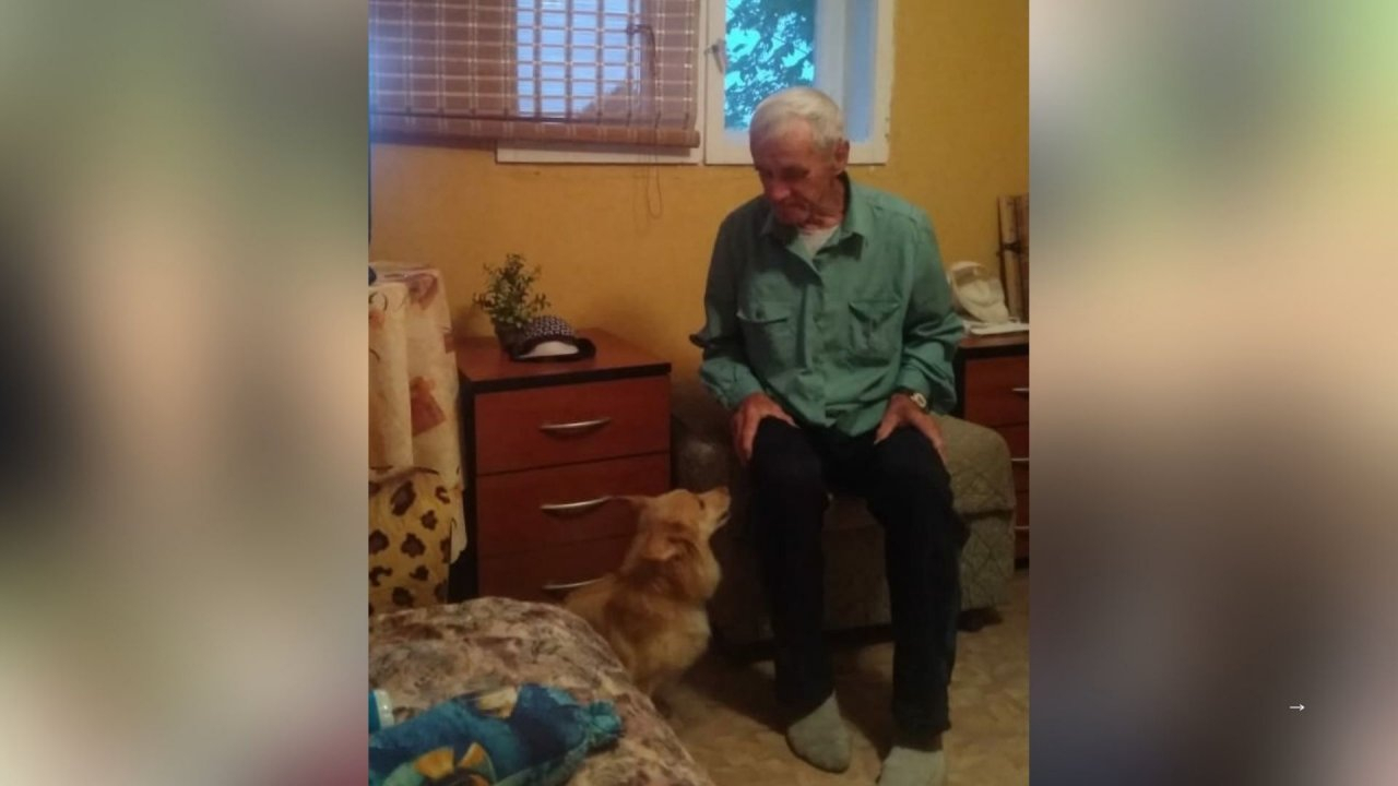 Собака не отходила от мертвого хозяина: пропавший в Ярославле мужчина погиб