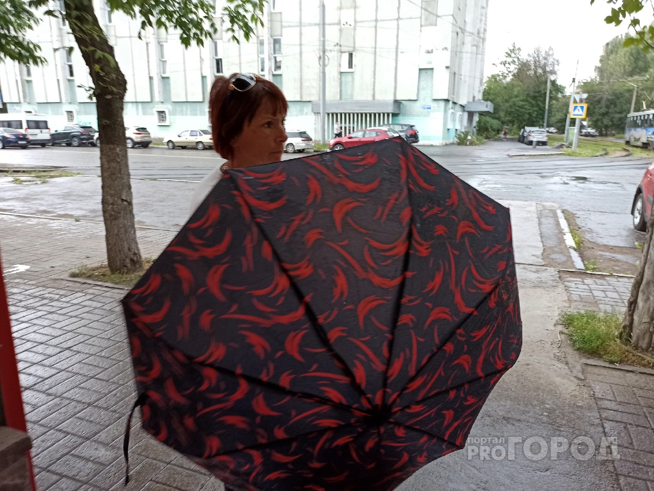 Вихрь из Европы накроет Центральную часть России: какую погоду ждать ярославцам