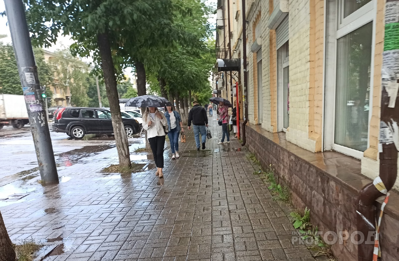 Дожди и похолодание: что еще ждет ярославцев в выходные