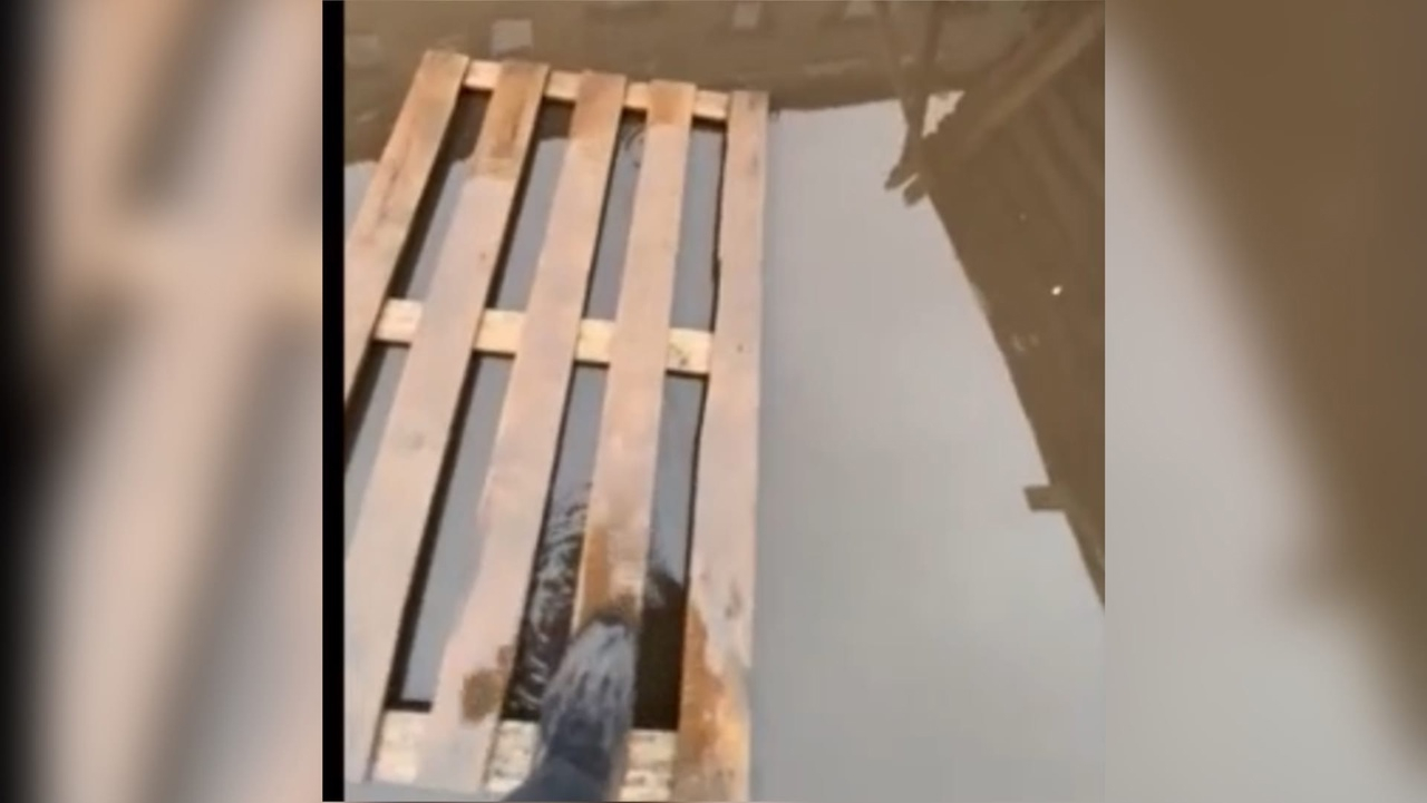 "Спасибо за тренировку!": ярославец рассказал, как ходил за паспортом после дождя ВИДЕО