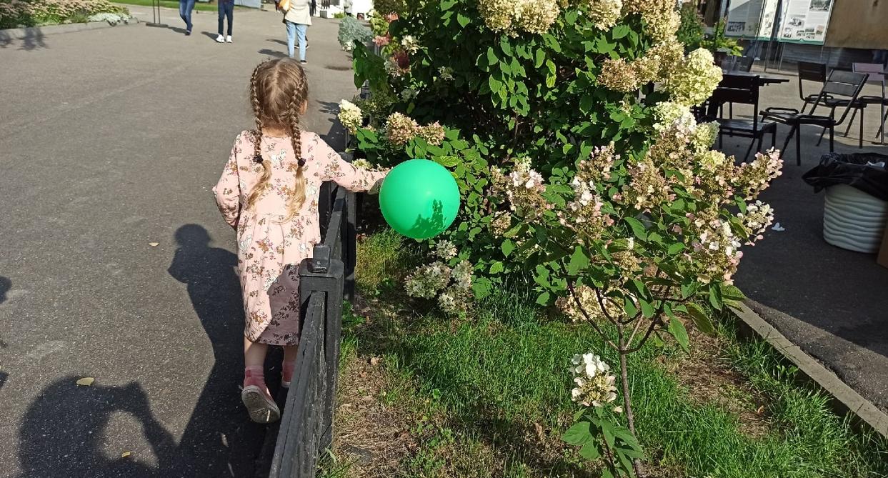 Жара возвращается: как долго в Ярославле продержится бабье лето