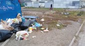 "Потерпите до 2024-го и не раскачивайте лодку": ярославцы в шоке от неубранного мусора